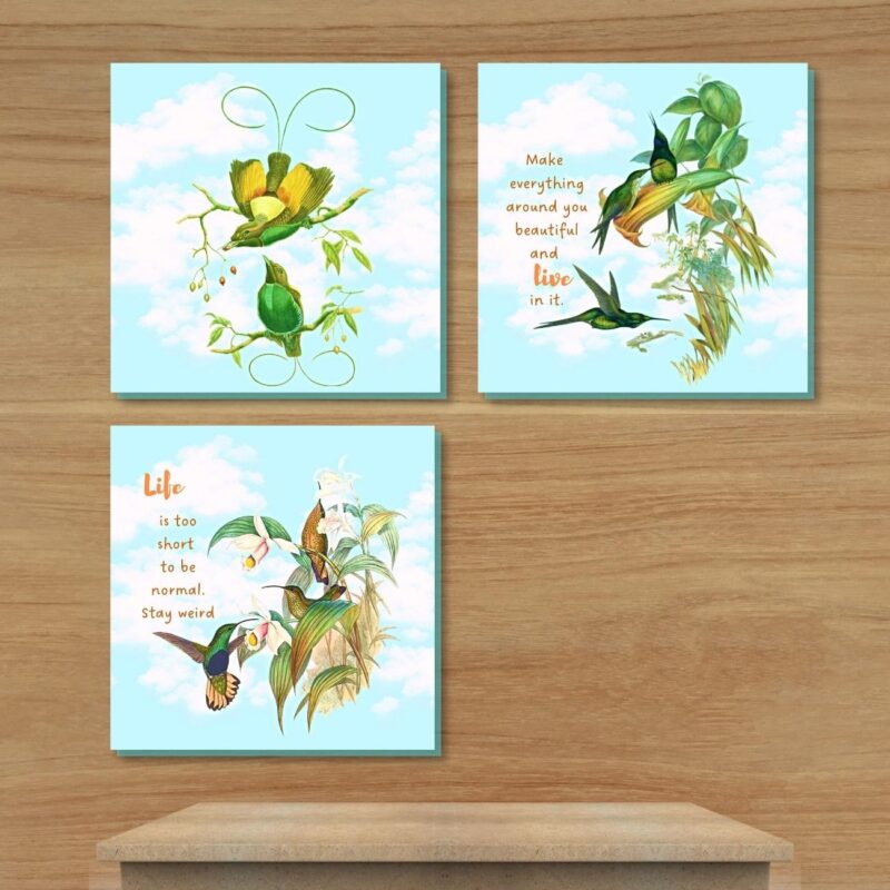 Hummingbird Wall Art set of 3