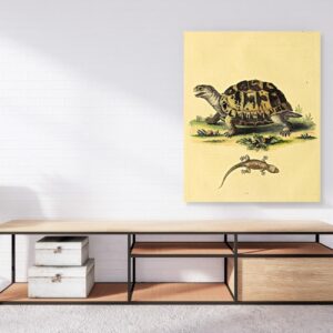 Turtle Art Prints