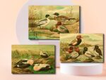 a wildlife wall art set of three