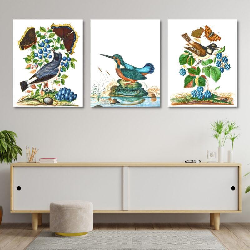 art nature set of 3