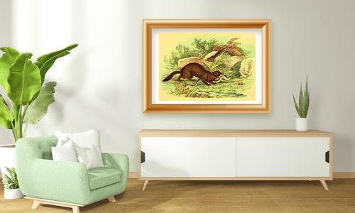 exotic wild animals prints