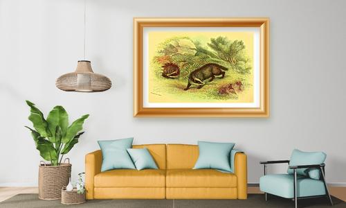 fierce wild animals prints