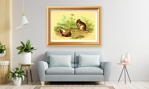 funny wild animal wall décor