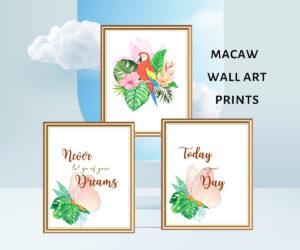 macaw wall art prints