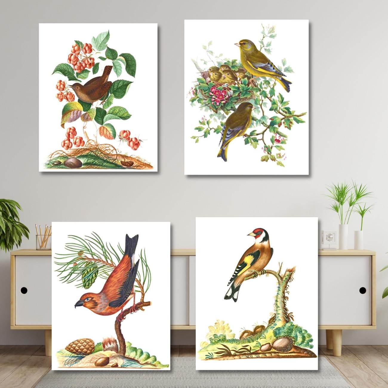 Nature Wall Art - Bellesima