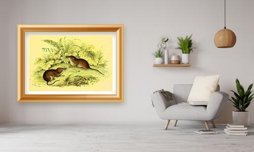 untamed wild animal décor