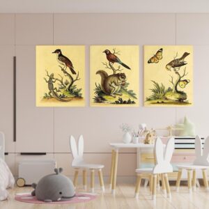 vintage bird prints set of three