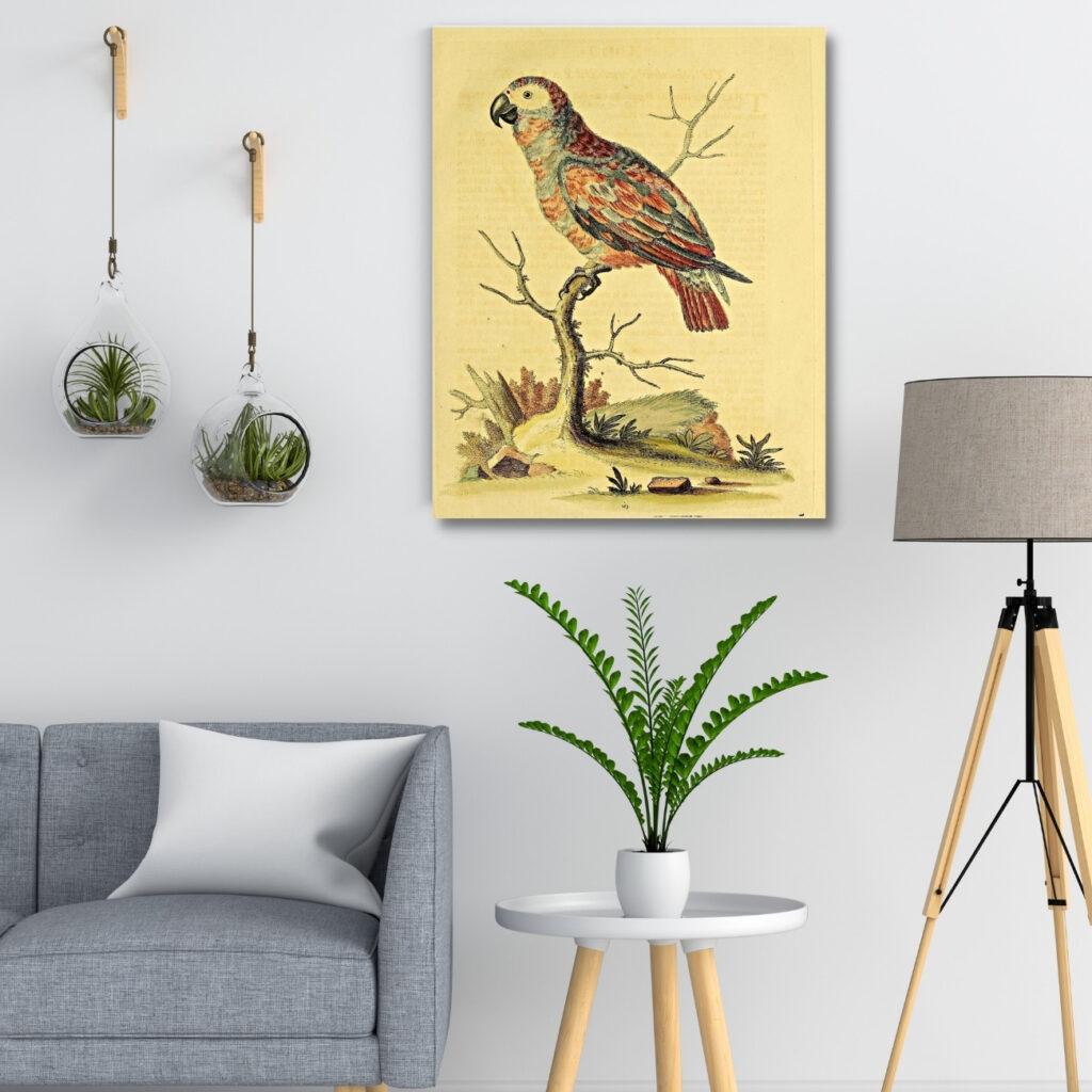 vintage wall art prints; bird on a tree branch