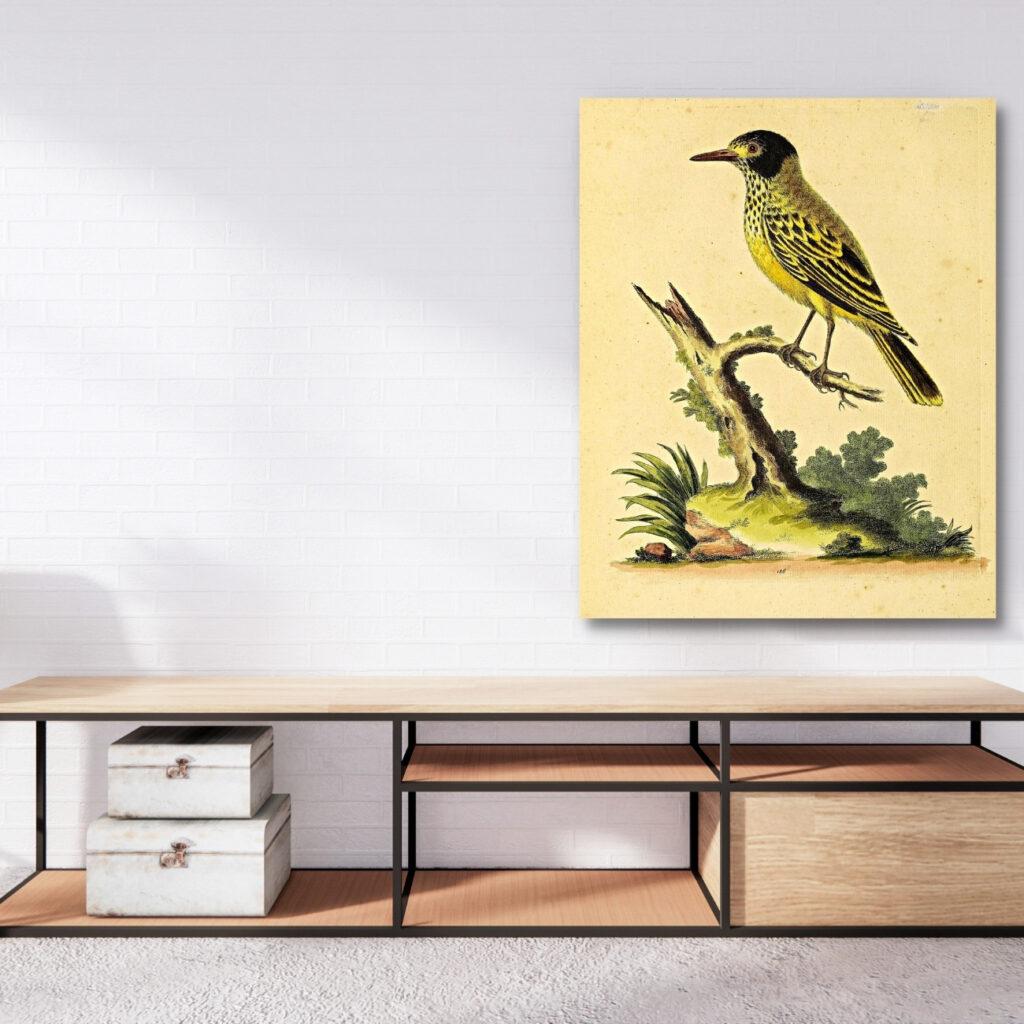 vintage wall art prints; bird, tree branch