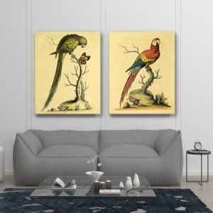 vintage wall art, birds