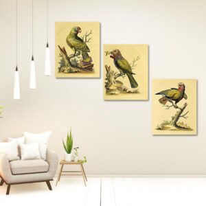 vintage wall art set of three