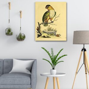 vintage wall décor prints