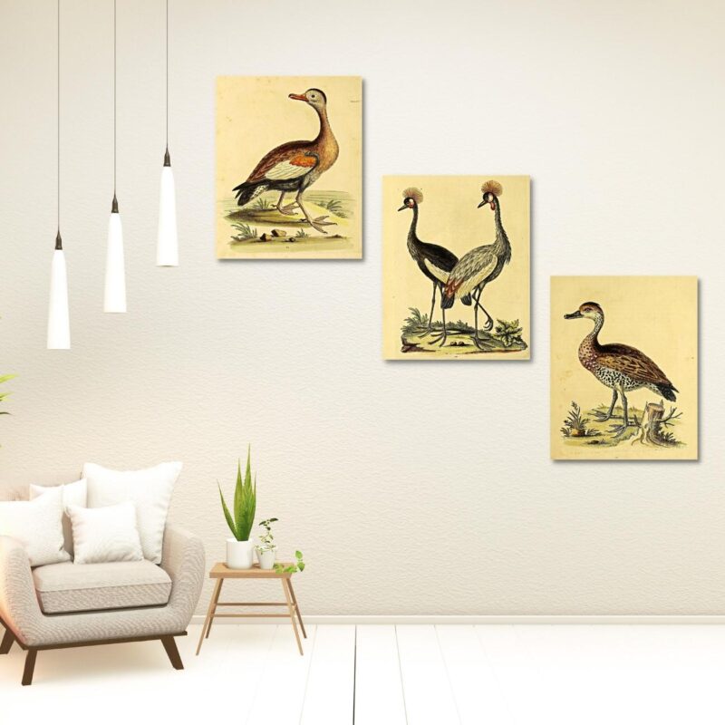 vintage wildlife wall art set