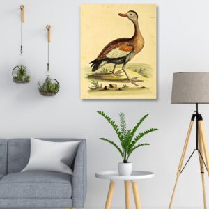 vintage wildlife wall art prints