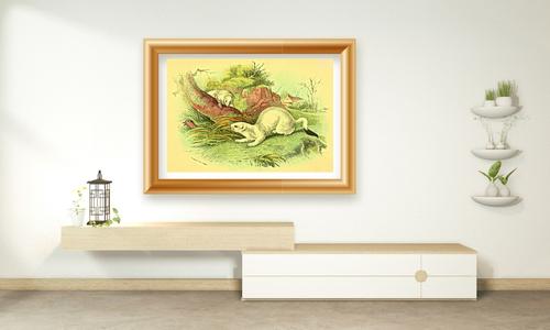 wild animal art décor prints