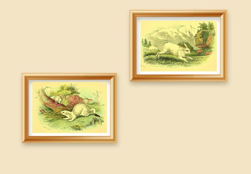 wild animal art décor set of 2