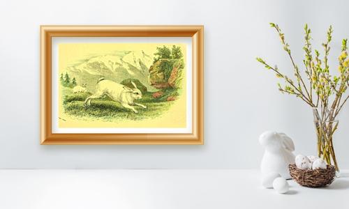 wild animal art décor