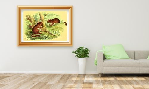 wild animal art, mice