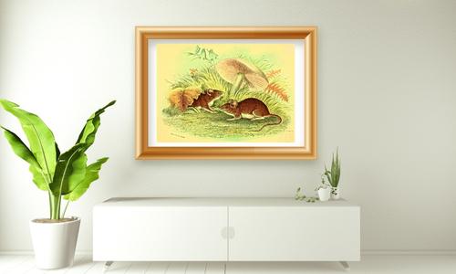 wild animal art mice