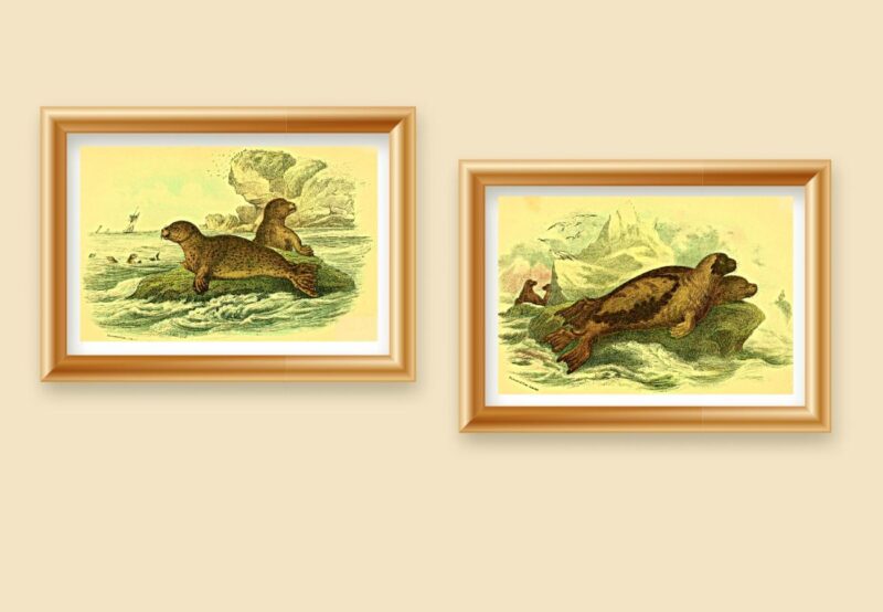 wild animal art prints set of 2