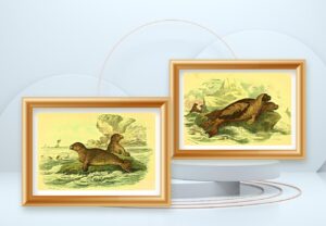 wild animal art prints set of two