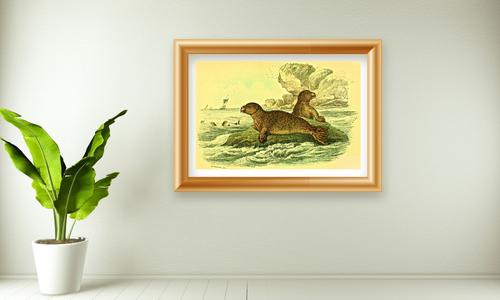 wild animal art prints