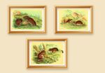 wild animal art set of 3