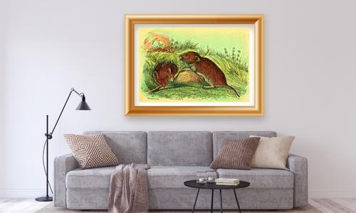 wild animal art