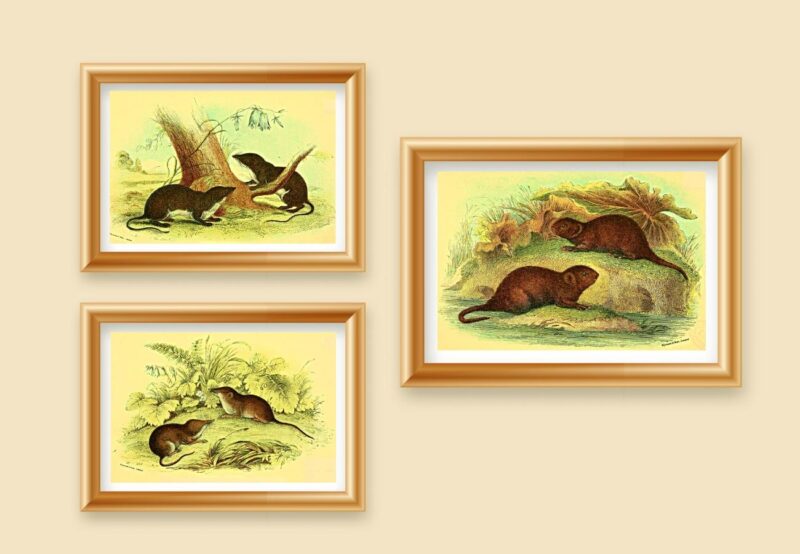 wild animal décor set of 3