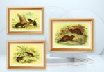 wild animal décor set of three