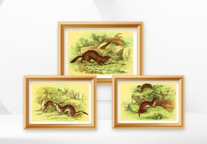 wild animal wall art prints set of three