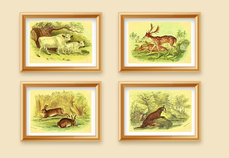 wild animals wall art set of 4