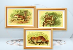 wild animal wall art set of three