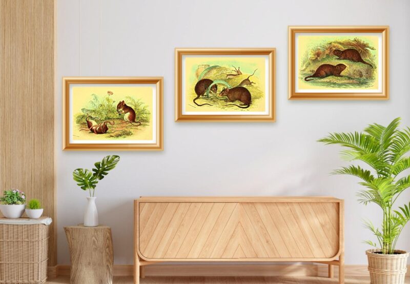 wild animal wall décor set of three