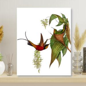 wildlife and nature art set