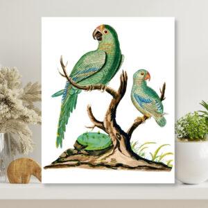 wildlife and nature bird wall art for bedroom