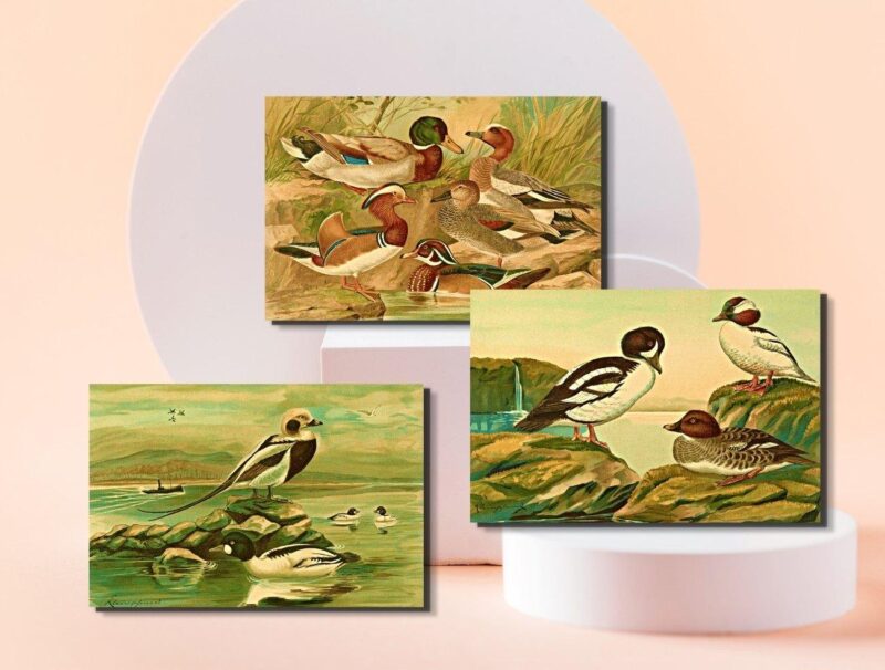 wildlife art décor set of three