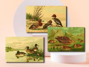 wildlife art prints set of 3