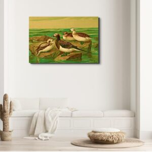 wildlife décor ;ducks in a pond