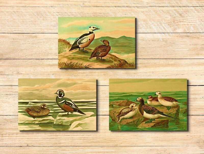 wildlife décor set of 3