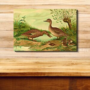 wildlife wall art prints