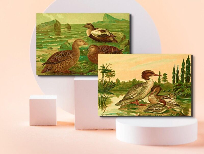 wildlife wall art prints set