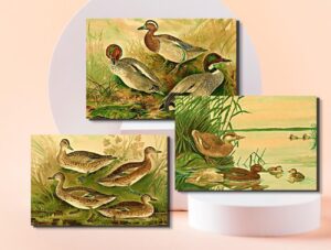 wildlife wall décor set