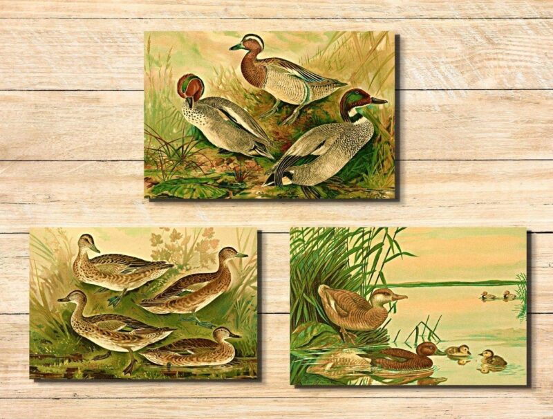 wildlife wall décor set of three