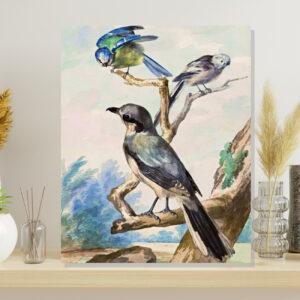 Bird Art Prints set