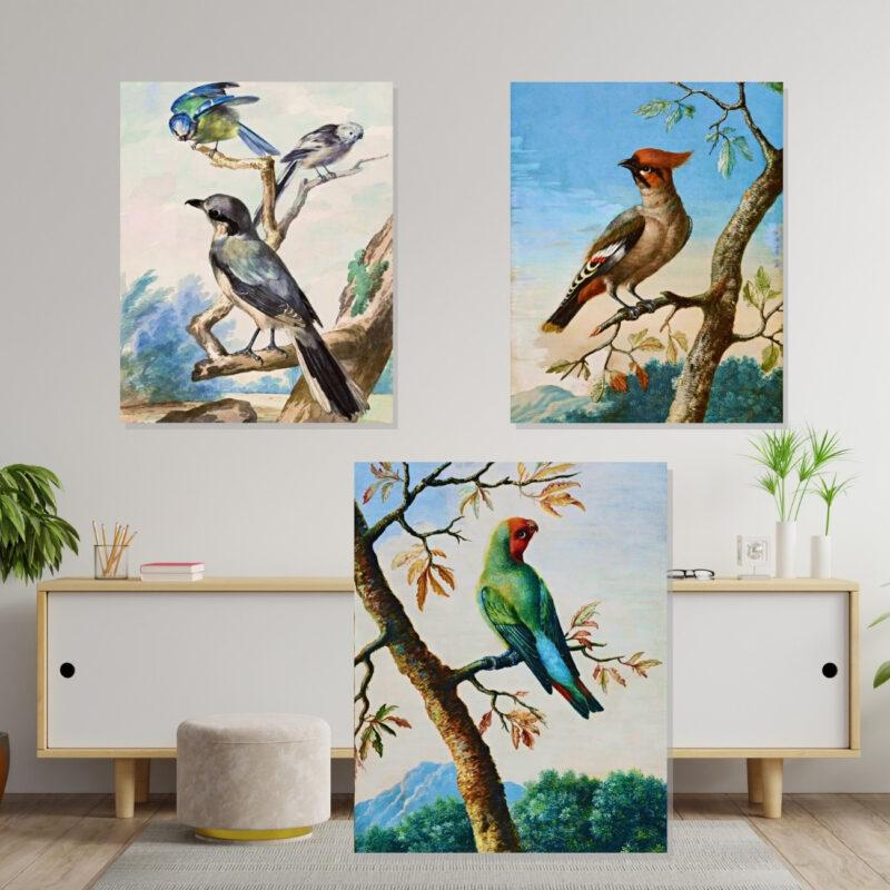 Bird Art Prints set of 3