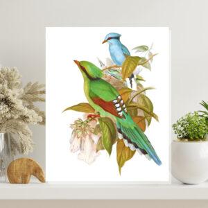 Nature and wilderness wall art prints