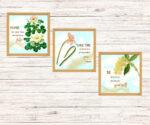 botanical wall décor set of 3