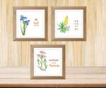 flower wall décor for cottage