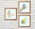 printable flower wall décor set of 3